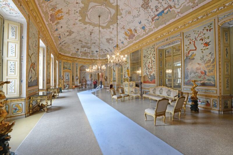 Turin: Stupinigi Royal Hunting Lodge Entry Ticket - Potential Limitations and Tips