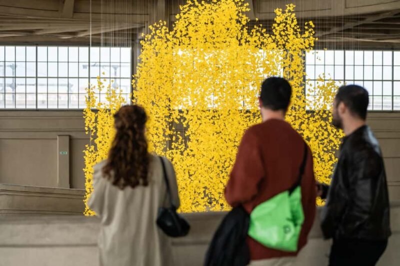 Turin: Your ticket to Pista 500 - Key Points