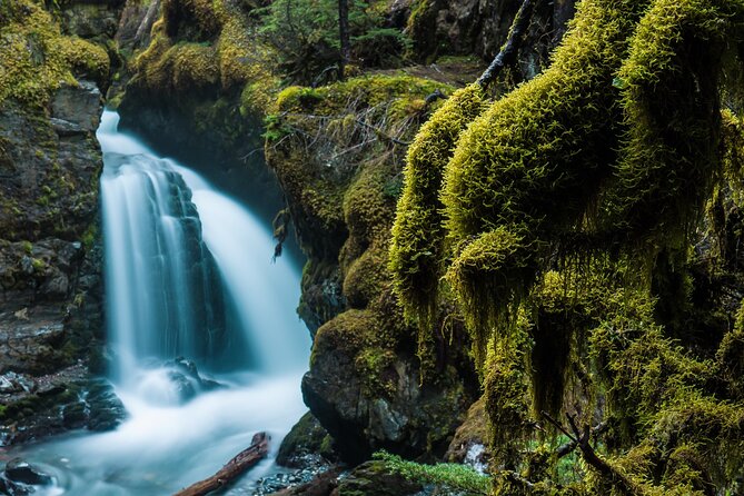 Turnagain Arm Highlights Photo Tour - Explore Turnagain Arm’s Scenic Beauty for Photography and Adventure