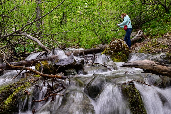 Turnagain Arm Highlights Photo Tour - Starting Point and Booking Details in Anchorage