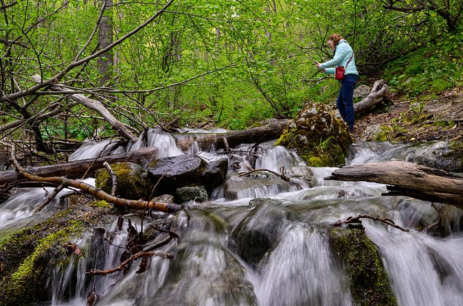 Turnagain Arm Highlights Photo Tour - Creative and Technical Photography Support