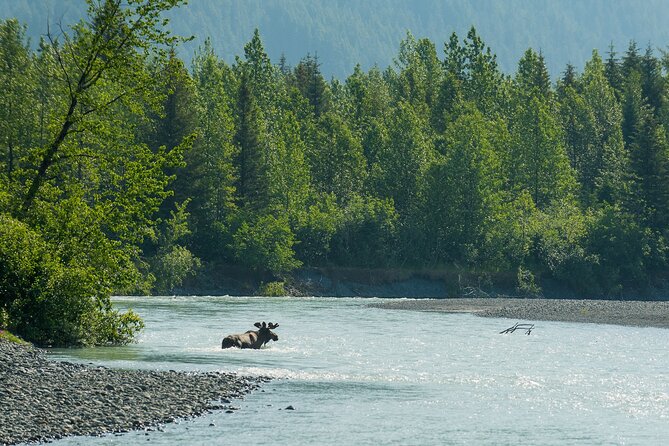 Turnagain Arm Highlights Photo Tour - Logistics, Pacing, and Accessibility
