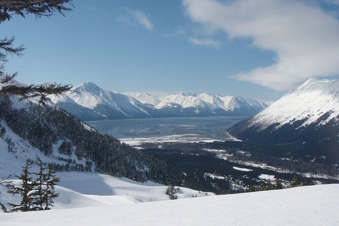 Turnagain Arm Winter Scenic Tour - Explore Anchorage’s Winter Wonder with the Turnagain Arm Scenic Tour