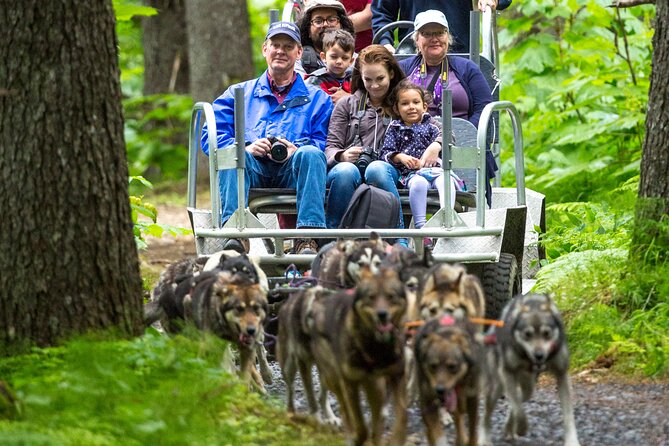 Turning Heads Kennel Dogsledding Experience & Tour - Practical Tips and Considerations