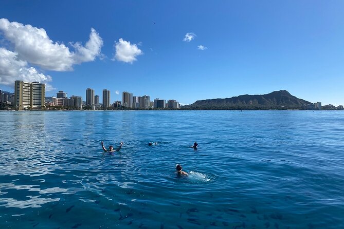 Turtle Canyon Snorkel Adventure in Waikiki - How the Snorkeling at Turtle Canyon Unfolds