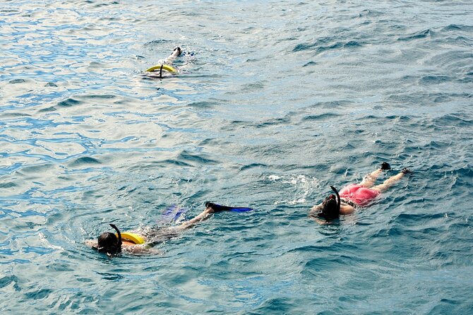 Turtle Canyon Snorkel Adventure in Waikiki - Guarantee of Turtle Sightings and Rebooking Policy