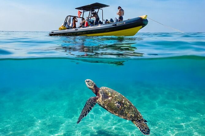 Turtle Canyon Snorkel Adventure - Small Group 6 Passengers - Starting Point at Kewalo Basin Harbor in Honolulu
