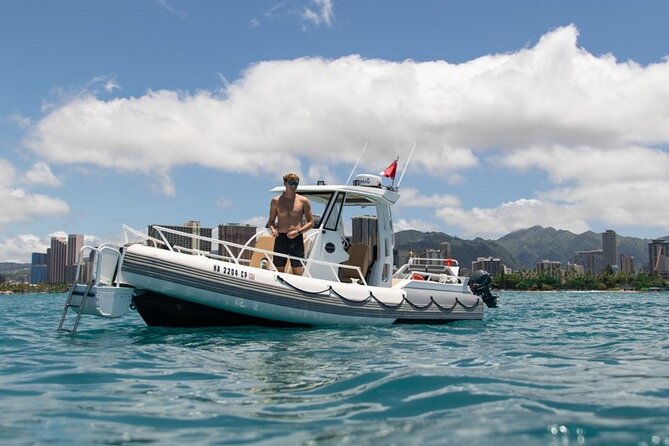 Turtle Canyon Snorkel from Waikiki: Turtles Guaranteed - Snorkeling Gear and Comfort Features