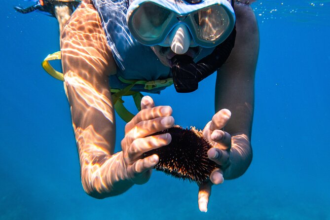 Turtle Canyon Snorkel: Semi Private Boat Tour - The Boat Ride and View of Oahu’s Coastline