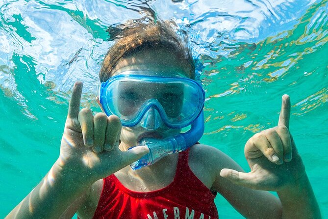 Turtle Canyon Waikiki Snorkel Adventure - The Experience with Dive Oahus Guides