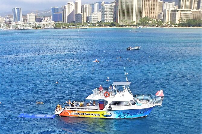 Turtle Canyons Snorkel Excursion from Waikiki, Hawaii - Convenient Meeting Point at Living Ocean Tours