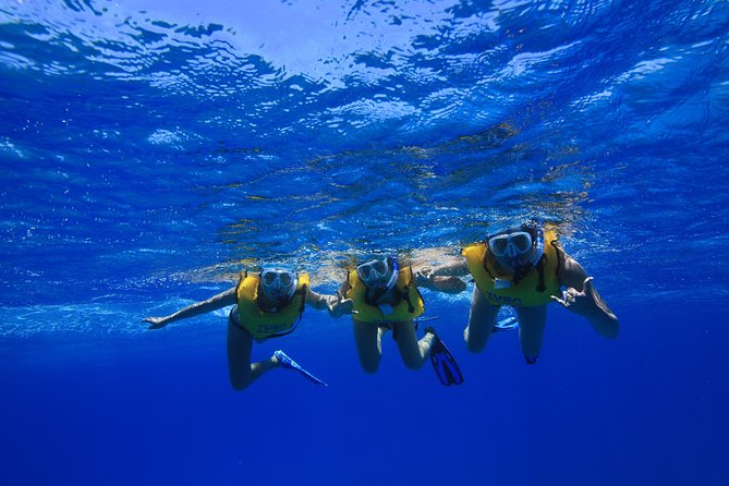 Turtle Canyons Snorkel Excursion from Waikiki, Hawaii - Optional Wildlife Sightings During the Boat Ride