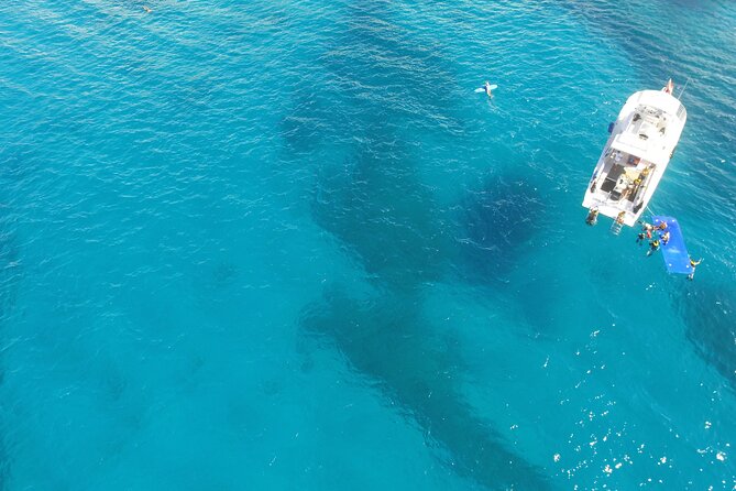 Turtle Canyons Snorkel Excursion from Waikiki, Hawaii - Pacing and Group Size Considerations