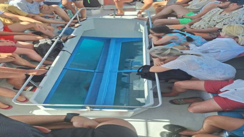 Turtle Cruise from 9 am or 12 noon or 3 pm for 3 hours - Explore Zakynthos on a 3-Hour Turtle Cruise with Guaranteed Summer Turtle Sightings