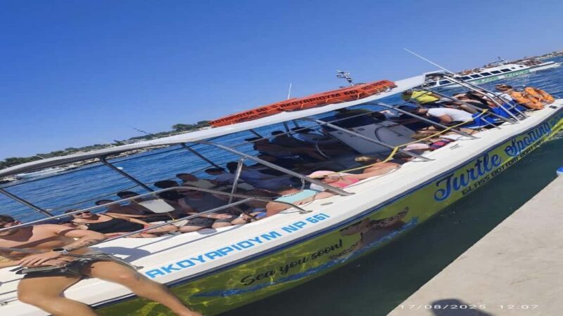 Turtle Cruise from 9 am or 12 noon or 3 pm for 3 hours - Key Points