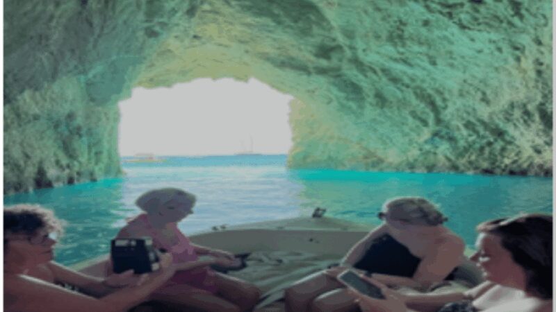 Turtle Cruise from 9 am or 12 noon or 3 pm for 3 hours - Visiting Turtle Island and Turtle Nesting Sites