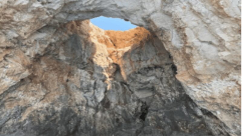 Turtle Cruise from 9 am or 12 noon or 3 pm for 3 hours - The Review of the Trip Experience