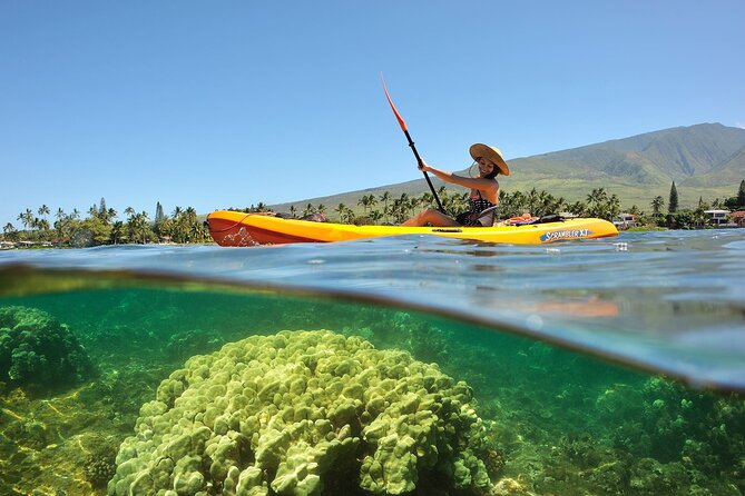 Turtle Reef Kayak Tour of Makena, Maui - Expert Guides with Local Knowledge