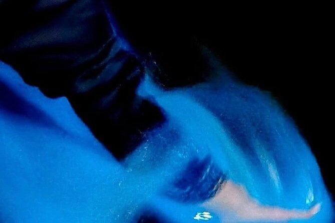 Turtle Release and Bioluminescence - Final Thoughts on the Turtle Release and Bioluminescence Tour