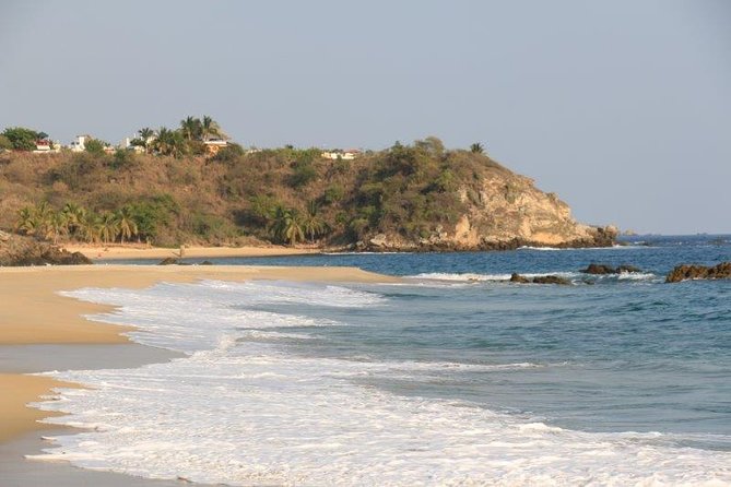 Turtle Release Escobilla Sanctuary and crocs in Ventanilla. - Additional Experiences and Optional Extras