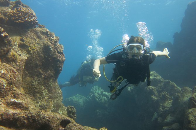 Turtle & Shark Scuba Dive in Lahaina: Certified - Flexibility for Beginners and Advanced Divers