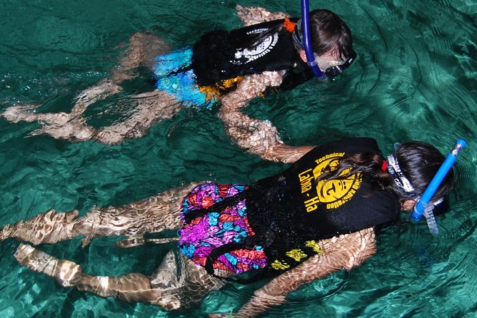 Turtle Snorkeling Adventure from Cancun - Key Points