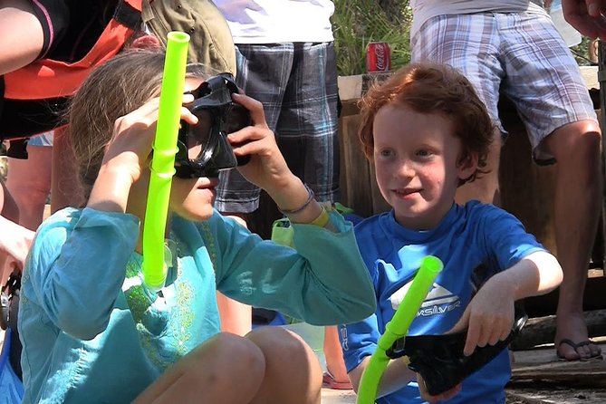 Turtle Snorkeling Adventure from Cancun - The Experience at the Cenote: Liquid Limestone Artistry