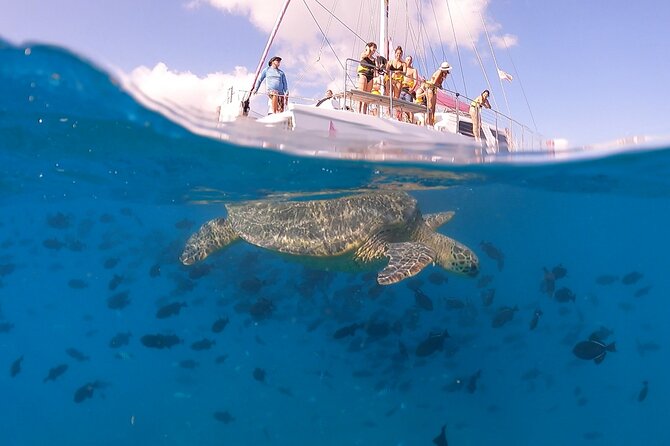 Turtle Snorkeling Boat Tour and Adventure in Waikiki - The Crews Role in Enhancing the Experience