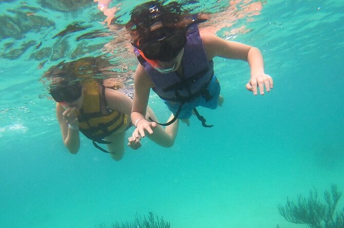 Turtle Snorkeling in Akumal - Meeting Point at 7-Eleven Akumal for Easy Access