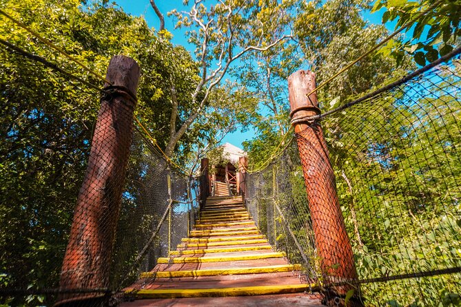 Turtle Snorkeling Jungle Adventure + Zipline and Rappel in Cenote - Tour Reviews and Guide Highlights