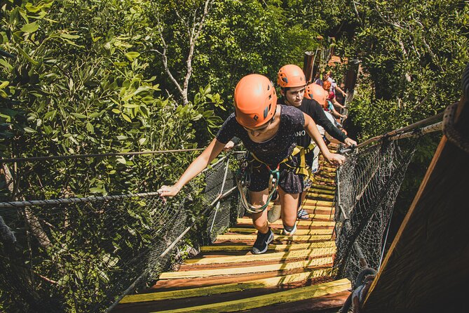 Turtle Snorkeling Jungle Adventure + Zipline and Rappel in Cenote - The Sum Up: A Well-Rounded Adventure for Nature and Adventure Enthusiasts