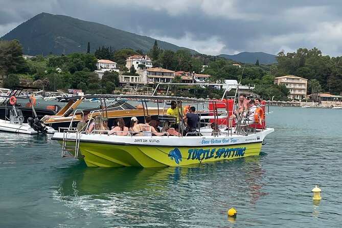 Turtle Spotting Cruise in Zakynthos on a Glass-Bottom Vessel - Guide and Crew: An Engaging Experience