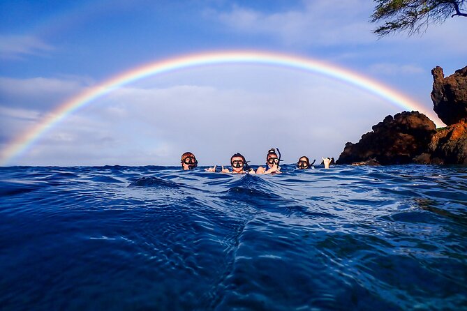 Turtle Town Clear Kayak & Snorkel Tour (10:30am-1pm) - What’s Included and Optional Extras