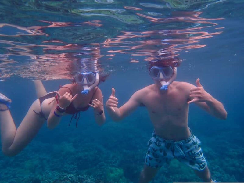 Turtle Town Clear Kayak & Snorkel Tour (7am-9:30am) - Suitable For and Not Suitable For