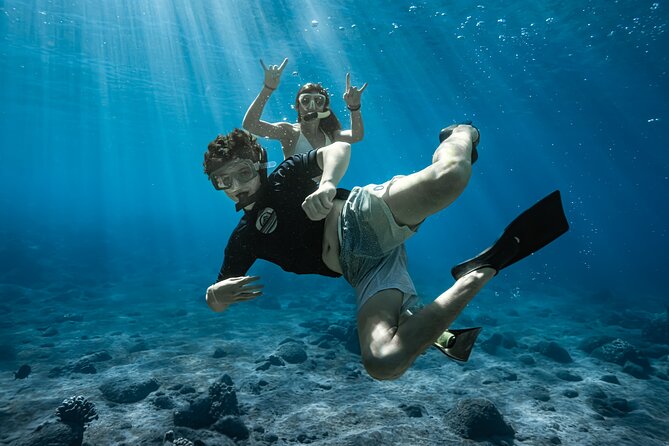 Turtle Town Snorkel with Photo and Video - Small-Group Snorkeling with Zephyr Maui