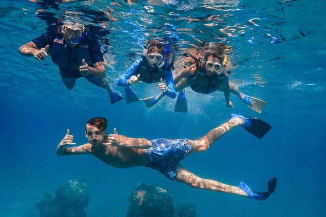 Turtle Town Snorkel with Photo and Video - What Sets This Tour Apart from Others