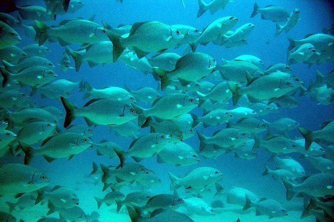 Turtles and Cenote from Riviera Maya - Starting at Cenote Manati for a Cool Down