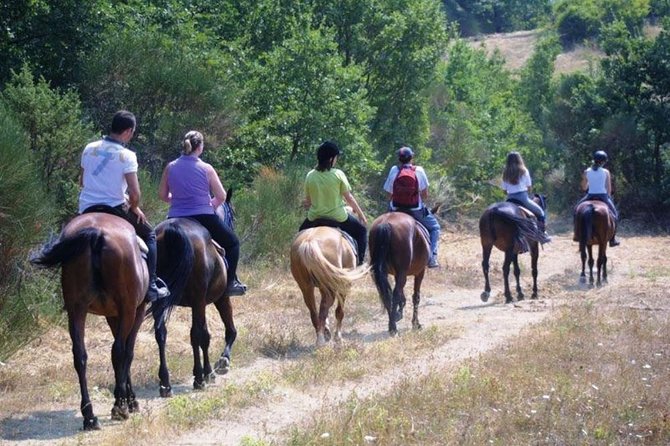 Tuscan Chianti Hills Horseback Riding Tour - Exploring the Tuscan Hills on Horseback