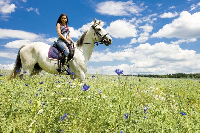 Tuscan Chianti Hills Horseback Riding Tour - Practical Tips and Logistics