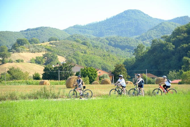 Tuscan countryside bike tour and food tasting - Starting Point at Piazza Giotto in Vicchio