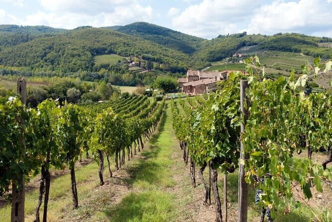 Tuscan countryside bike tour and food tasting - Tasting Authentic Local Food and Wines