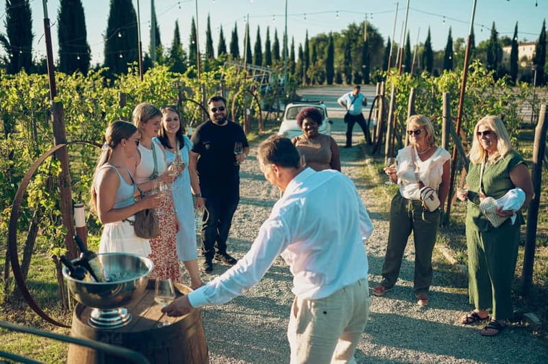 Tuscan Vineyard Dinner with Wine Tasting - Guided Wine Tasting Led by a Wine Expert