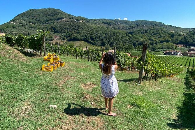 Tuscan Wine Tour in Lucca by van - What Sets This Tour Apart