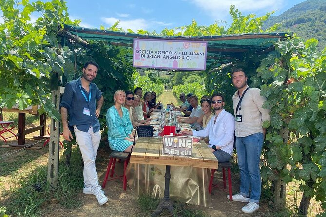 Tuscan Wine Tour in Pisa by van - Authentic Tuscan Wine Experiences in Pisa