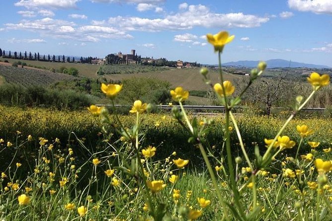 Tuscany Bike Tours Through the Chianti Hills with Wine Tasting - Logistics: Meeting Point and Duration