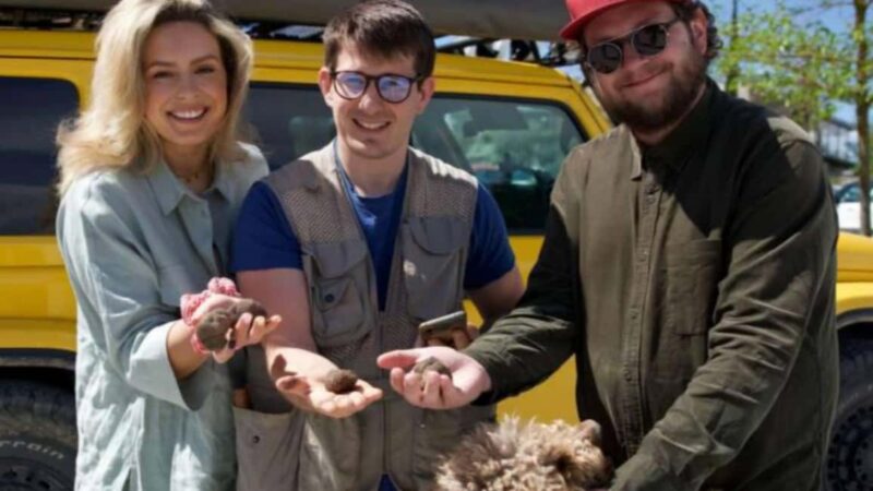 Tuscany Crete Senesi : Truffle Hunting Tour - Tuscany Crete Senesi : Truffle Hunting Tour – An Authentic 5-Day Experience in Italys Heartland