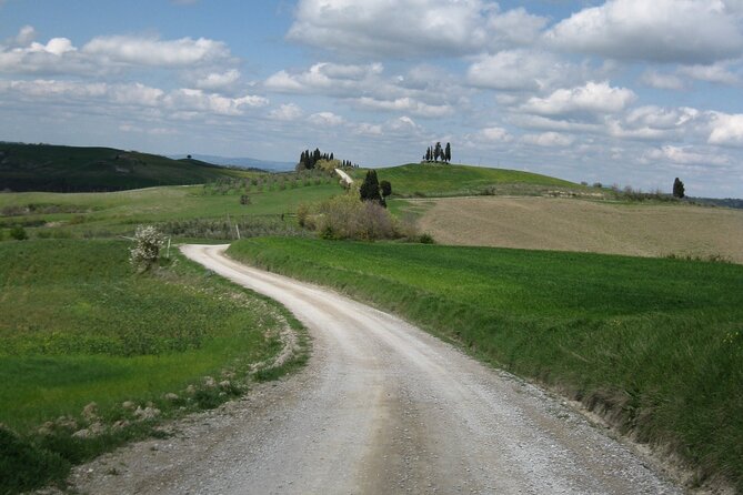 Tuscany Hiking Tour from Siena Including Wine Tasting - Starting point and logistics in Siena