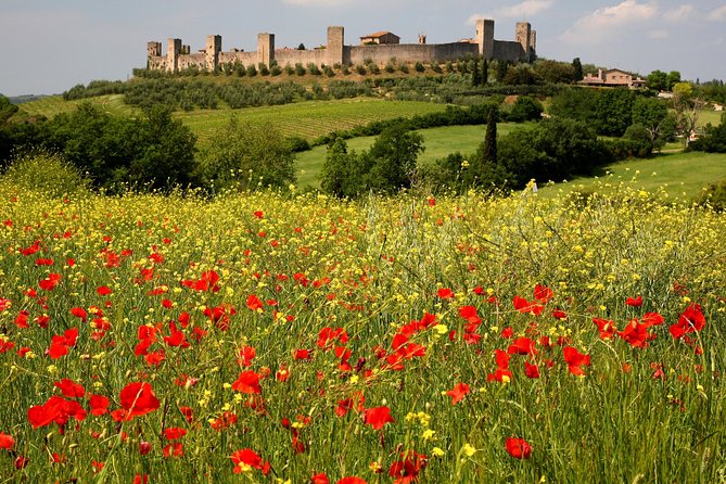 Tuscany Hiking Tour from Siena Including Wine Tasting - The wine tasting experience in Monteriggioni