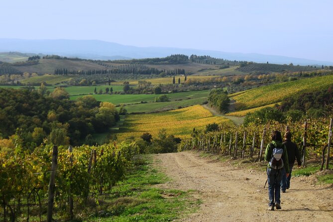 Tuscany Hiking Tour from Siena Including Wine Tasting - The expert guides role and storytelling