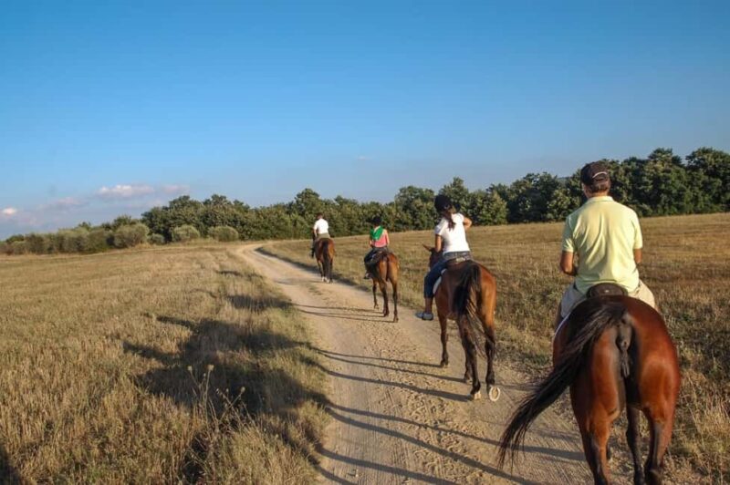 Tuscany: Horseback Riding Adventure with Lunch in a Winery - Review of the Ride and the Surroundings